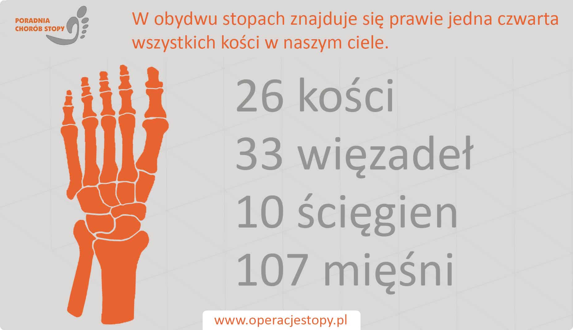 Operacjestopy.pl - Stopa człowieka